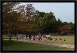 Nara, Japonsko / Nara, Japan, thumbnail 50 of 224, 2012, DSC02165.jpg (338,891 kB)