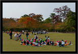 Nara, Japonsko / Nara, Japan, thumbnail 51 of 224, 2012, DSC02166.jpg (358,896 kB)