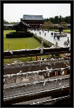 Nara, Japonsko / Nara, Japan, thumbnail 70 of 224, 2012, DSC02251.jpg (176,000 kB)