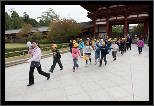 Nara, Japonsko / Nara, Japan, thumbnail 72 of 224, 2012, DSC02255.jpg (285,934 kB)
