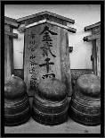 Nara, Japonsko / Nara, Japan, thumbnail 113 of 224, 2012, DSC02402.jpg (187,782 kB)
