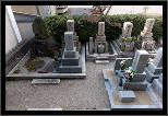 Nara, Japonsko / Nara, Japan, thumbnail 115 of 224, 2012, DSC02408.jpg (376,353 kB)