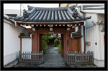 Nara, Japonsko / Nara, Japan, thumbnail 130 of 224, 2012, DSC02527.jpg (216,857 kB)