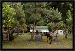 Nara, Japonsko / Nara, Japan, thumbnail 145 of 224, 2012, DSC02597.jpg (439,613 kB)