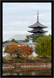 Nara, Japonsko / Nara, Japan, thumbnail 146 of 224, 2012, DSC02601.jpg (212,485 kB)