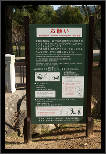 Nara, Japonsko / Nara, Japan, thumbnail 162 of 224, 2012, DSC02649.jpg (245,697 kB)