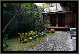 Nara, Japonsko / Nara, Japan, thumbnail 191 of 224, 2012, DSC02751.jpg (365,258 kB)