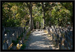 Nara, Japonsko / Nara, Japan, thumbnail 196 of 224, 2012, DSC02772.jpg (429,049 kB)