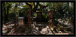 Nara, Japonsko / Nara, Japan, thumbnail 199 of 224, 2012, DSC02780.jpg (529,579 kB)