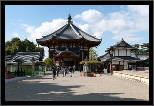 Nara, Japonsko / Nara, Japan, thumbnail 213 of 224, 2012, DSC02826.jpg (276,064 kB)