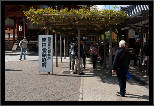 Nara, Japonsko / Nara, Japan, thumbnail 214 of 224, 2012, DSC02827.jpg (354,288 kB)