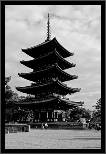 Nara, Japonsko / Nara, Japan, thumbnail 219 of 224, 2012, DSC02848.jpg (137,235 kB)