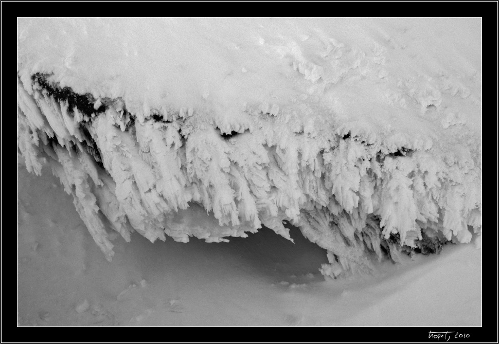 Pradd - Svin leb, photo 28 of 31, 2010, 028-CRW_6352.jpg (189,104 kB)