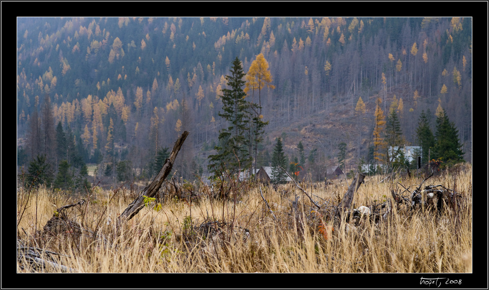 Koprovsk dolina - Podzim v Tatrch / Fall in Tatras, photo 18 of 63, 2008, 018-_DSC0300.jpg (309,457 kB)