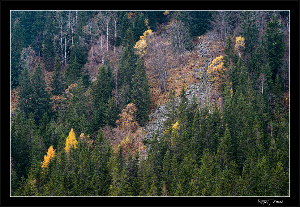 Koprovsk dolina - Podzim v Tatrch / Fall in Tatras, photo 22 of 63, 2008, 022-_DSC0318.jpg (475,556 kB)