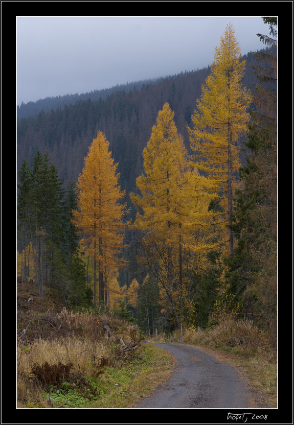 Koprovsk dolina - Podzim v Tatrch / Fall in Tatras, photo 31 of 63, 2008, 031-_DSC0414.jpg (258,698 kB)
