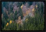 Koprovsk dolina - Podzim v Tatrch / Fall in Tatras, thumbnail 22 of 63, 2008, 022-_DSC0318.jpg (475,556 kB)