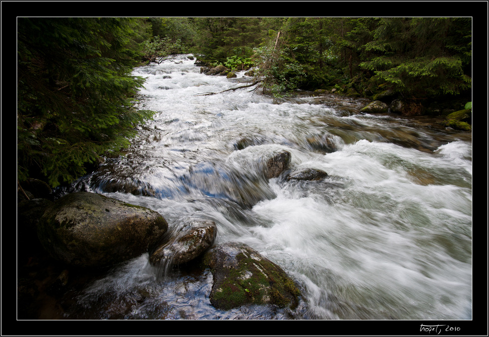 Rkov potok / Rkov stream - Vysok Tatry, Pieniny, Liptovsk Mikul, photo 24 of 154, 2010, 024-DSC07096.jpg (357,445 kB)