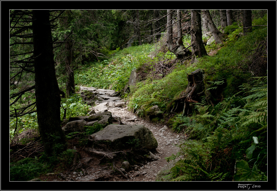 Vysok Tatry, Pieniny, Liptovsk Mikul, photo 102 of 154, 2010, 102-DSC07542.jpg (470,223 kB)