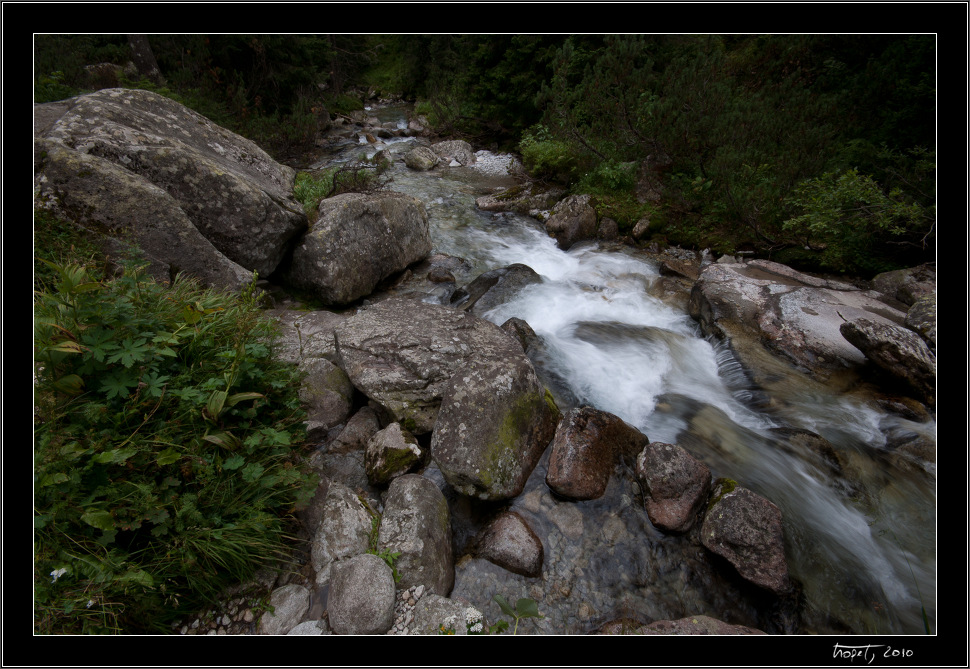 Vysok Tatry, Pieniny, Liptovsk Mikul, photo 105 of 154, 2010, 105-DSC07575.jpg (325,532 kB)