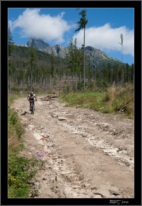 Bike park na Hrebienku / Bike part at Hrebienok<br>Fotila Aleka / Photo by Aleka - Vysok Tatry, Pieniny, Liptovsk Mikul, photo 115 of 154, 2010, 115-DSC07610.jpg (314,038 kB)